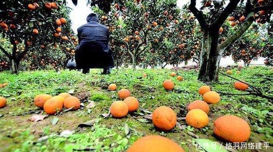  「碰壁」印度把“中国特产”带回去，想出口到其他国家，却四处