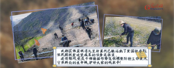  [春光]战疫故事“绘”丨战疫情不负春光 脱贫一线播撒希望