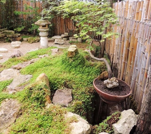 等有钱了，就造一个日式庭院，静谧悠然禅意十足，每天喝茶赏花