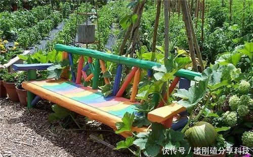 『蔬菜』有个花园不如种菜,菜能吃,花园也美,很棒的!