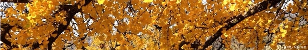 现代诗:雨中的老街