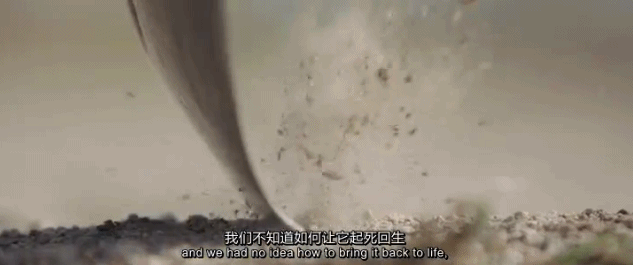  『世外桃源』豆瓣9.2，这「成人」的童话世界太疯狂