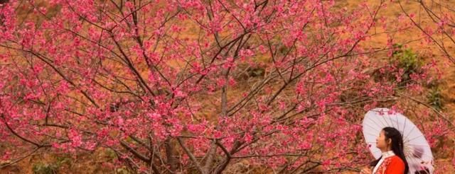 隐藏在清远佛冈的温泉小镇，广州极少人知道，来过的都还想再来