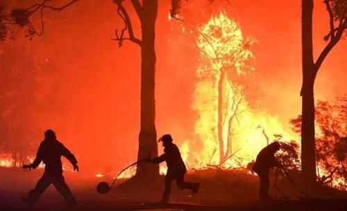澳大利亚火烧了4个月吗