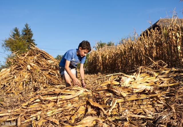 新补贴！拆除自家土灶台，最高可领2000元，乡亲们愿意吗？