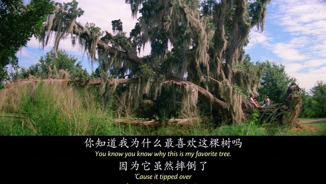  #导演肖恩#一部“少儿不宜”的儿童电影，却看哭了荧幕前的成年人