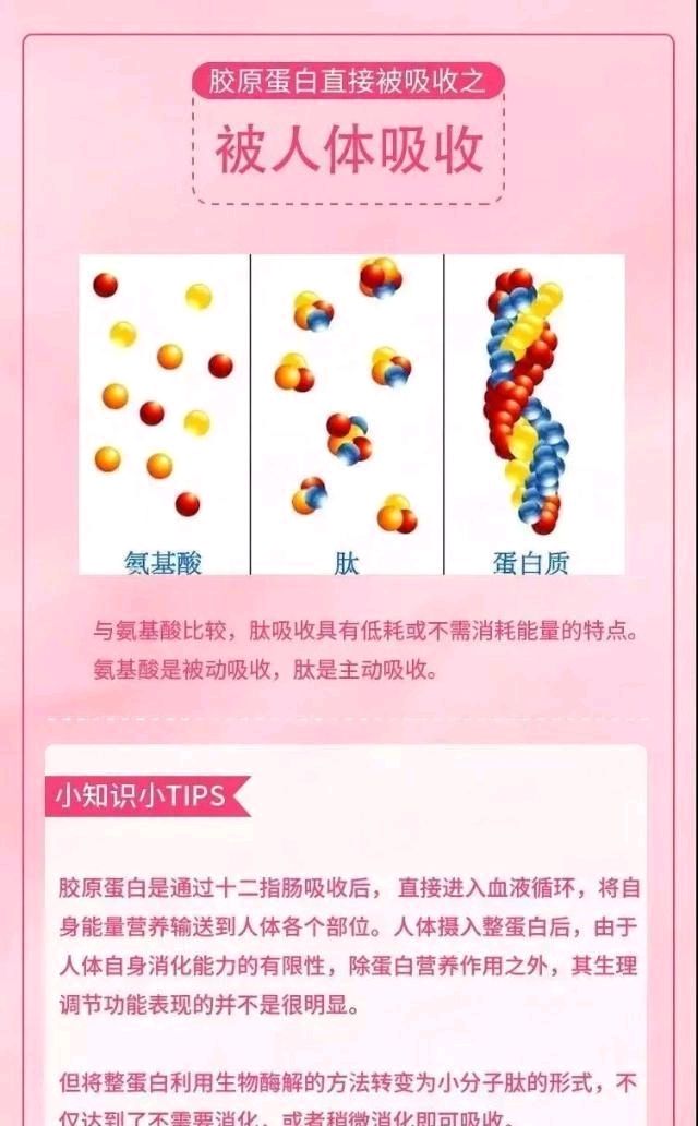  『你知道胶原』胶原蛋白真的那么重要吗？