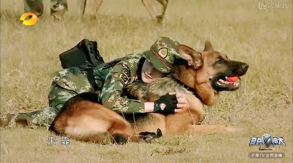 有颜值有身材有爱情,31岁的军嫂张馨予这次赢了