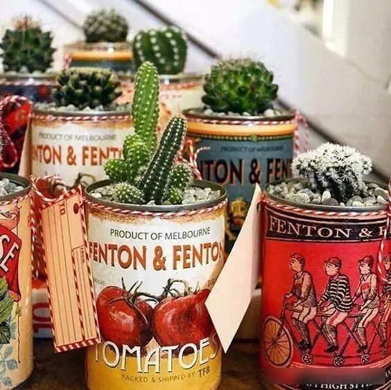  『茶叶罐』茶叶罐、奶粉罐都别扔，还买什么花盆？她没花一分钱，让人羡慕