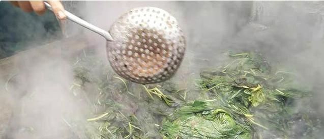  「丢掉」以前叶子直接丢掉，如今15元1斤供不应求，不过很多农民