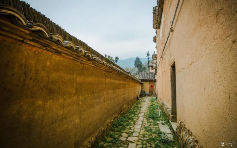 世外桃源@茶香环绕,与探岳陶醉在世外桃源。