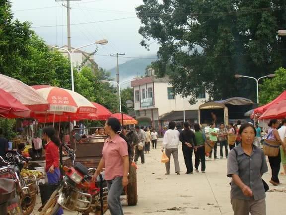  #试试#未来5年，农村有2个行业成为“香饽饽”，赋闲在家的人不