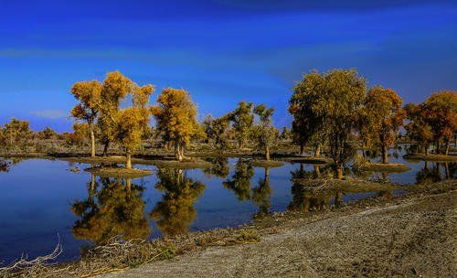 全国最隐蔽的村子，百年间都无人发现，连邻村都不知道它的存在