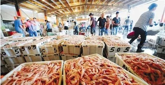 探访东南沿海网红小村,这里拥有最少女心梦幻房屋(内附游玩线)