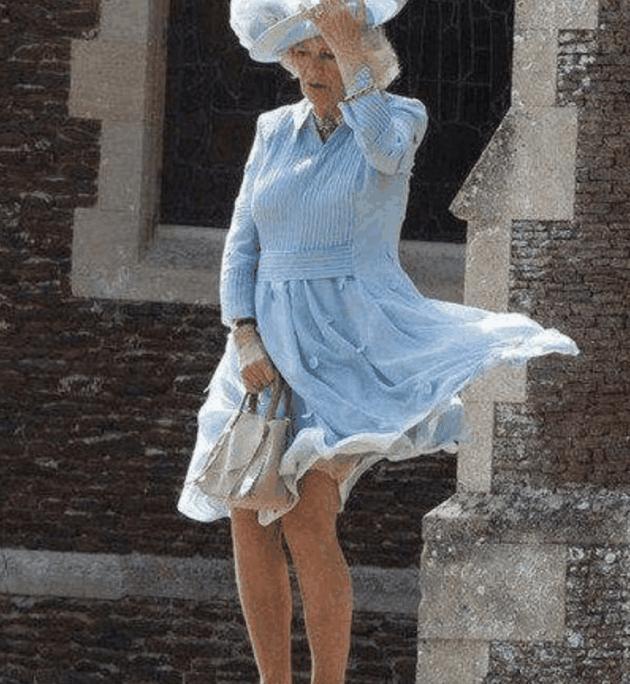 当王妃遇上刮风: 凯特王妃镇静, 戴安娜王妃优雅, 卡米拉让人尴尬