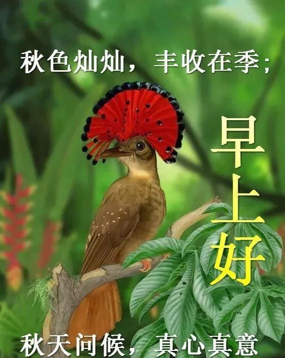  群发@群发清晨早上好问候祝福语，微信群冬天早安问候图片