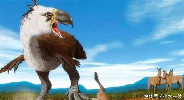 史前动物有多凶残海洋霸主蛇颈龙,恐龙的