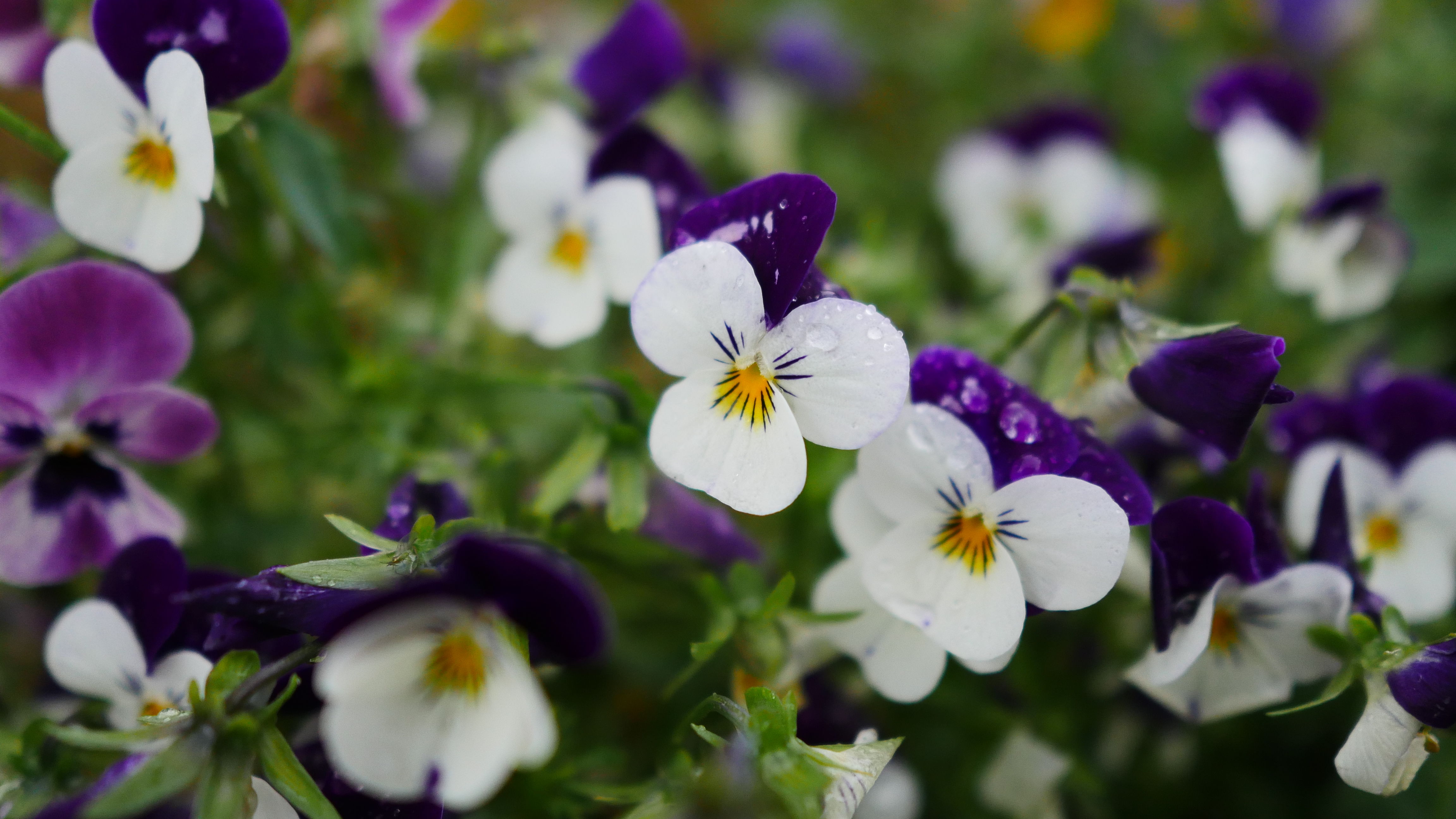 一起去世界的尽头流浪 冰岛历险记（中）