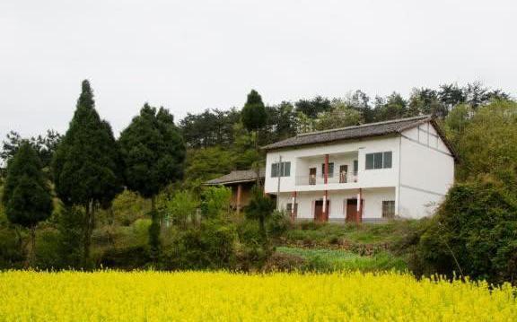 19年，农村房屋整治加速推进，这5种房子到时都会统一拆除的！