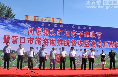 周家镇＂大红袍李子＂丰收节今日开幕!
