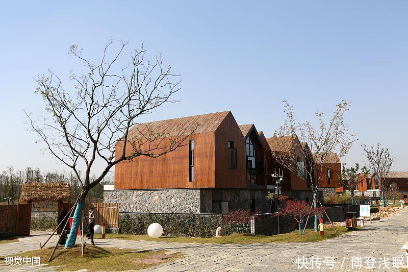  南京市■为什么江苏会被要求整改对省会南京不够重视的问题