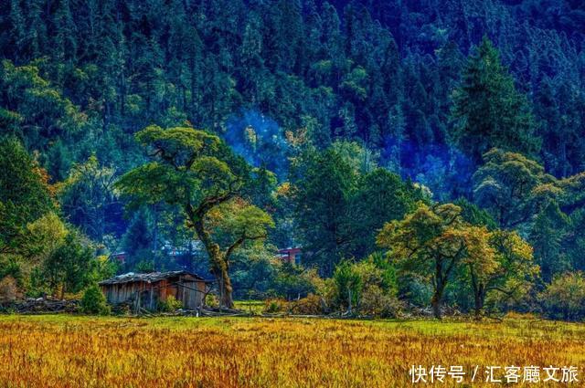 林芝的秋天，才是你最不该错过的天堂，有一百种秋色等你pick