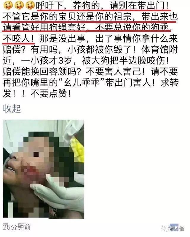 有组织造谣狗咬伤小孩儿,这个锅决不能背!