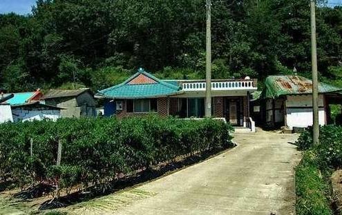 提醒，农村宅基地“整改”来了，2类交税，4种回收，农民小心