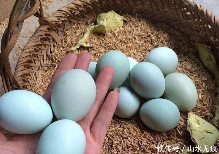  鼓吹@养殖骗局又来，一个蛋5元，一年产300枚，商家鼓吹农民听信