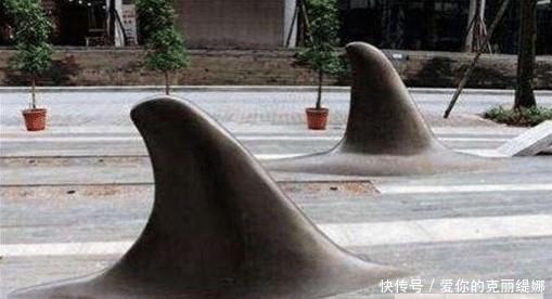 街头突然出现“鲨鱼鳍”，路人拍手称快，司机叫苦连天