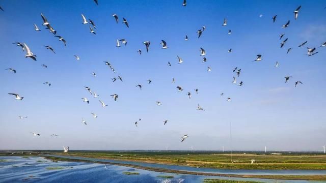  人工岛|世界上最大人工岛，耗资271亿填平91平方公里海域，就在
