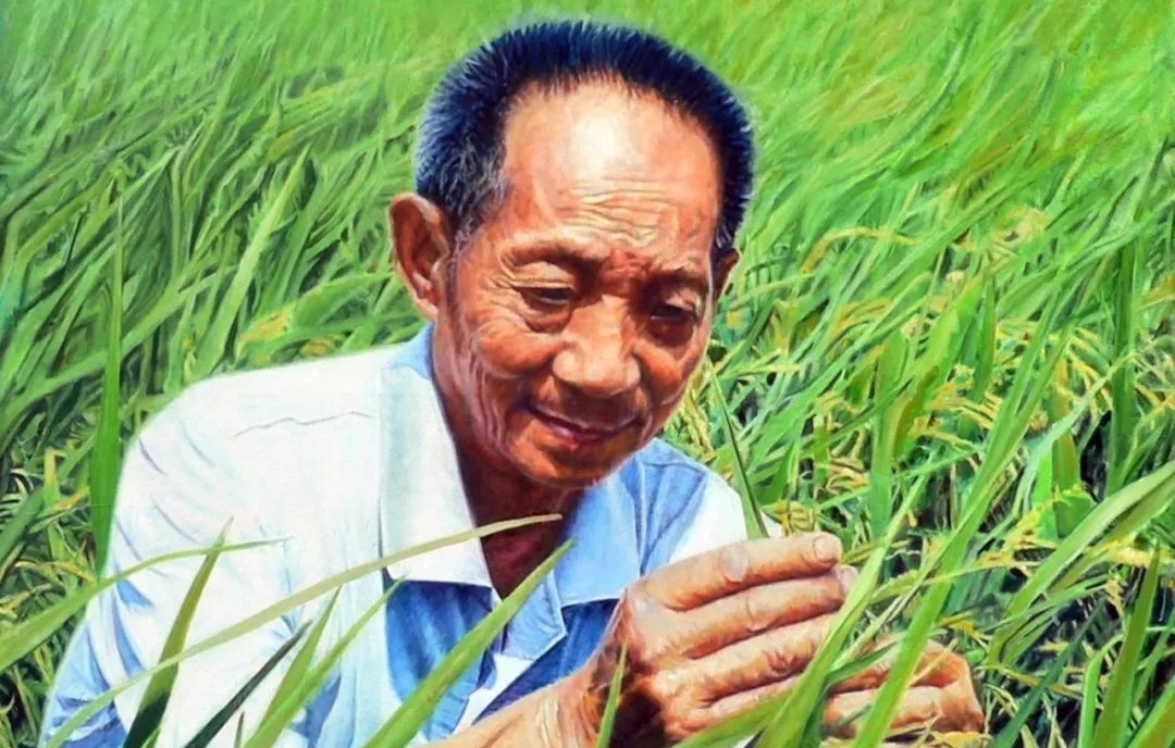 我国大量粮食靠进口，农民土地荒着，袁隆平讲出了现实