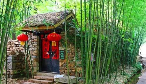  [家里]俗语“门前不栽竹，房后不栽树”有何道理呢？为啥房前不能种竹子