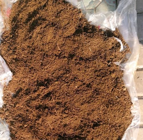  【养护】山上漫山遍野的松针土，扛回来半袋子，茶花配土不用愁，还不花钱