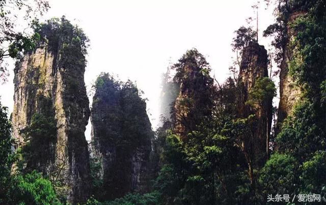 贵州绥阳九道门：被誉为贵州的张家界，让人赞叹的人间仙境