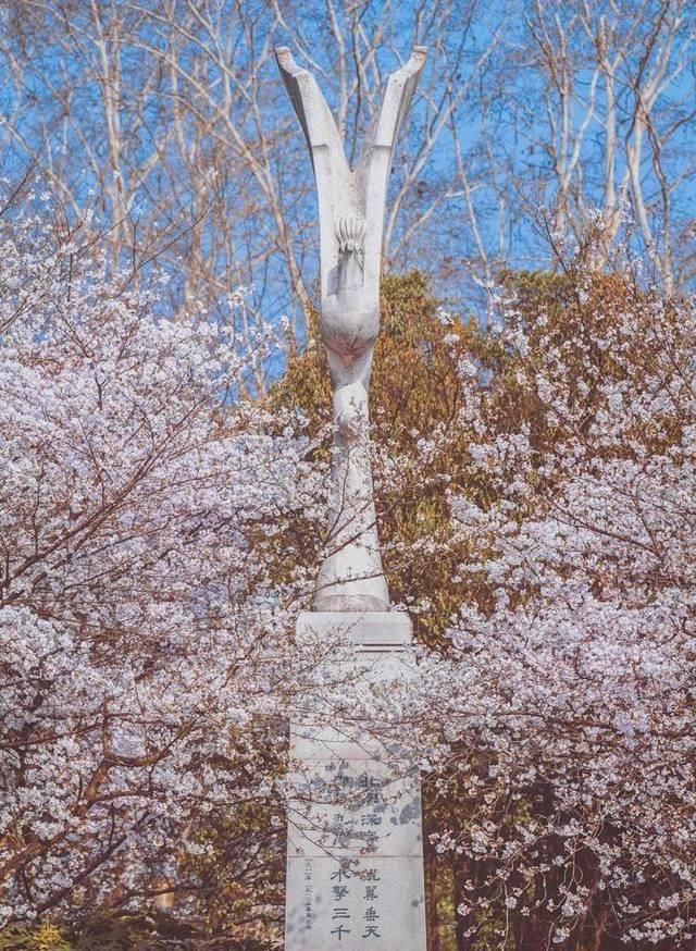  「究竟」云看花，中国美丽高等院校究竟看哪儿？