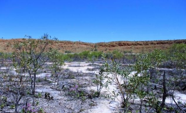 被嫌弃的免费景区：游客去了也不参观景点，直接去溪边淘金