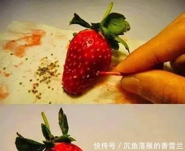 草莓@阳台上盆栽草莓,好吃好种又好看,结的果子四季吃不完!