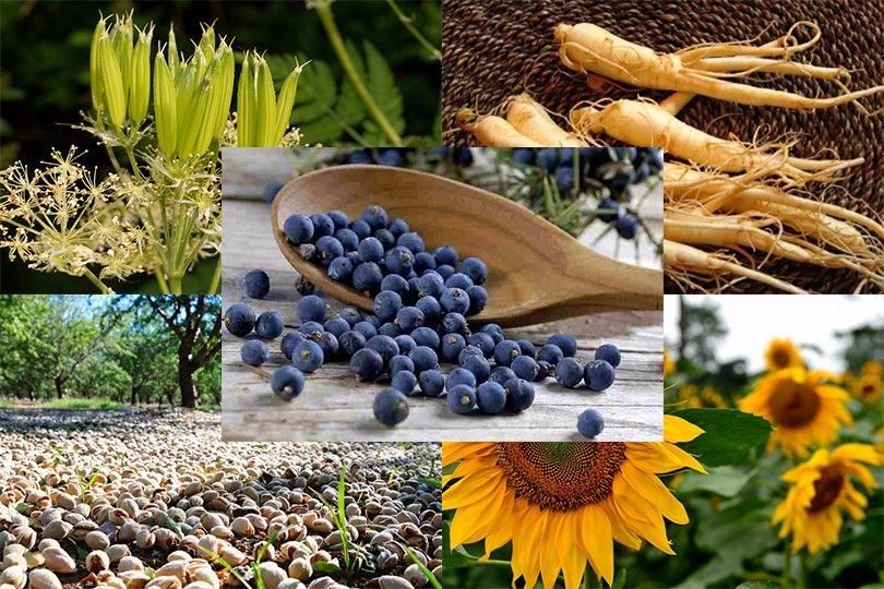 你沐浴后的味道,根本让人把持不住!留香24小时,比喷了大牌香水