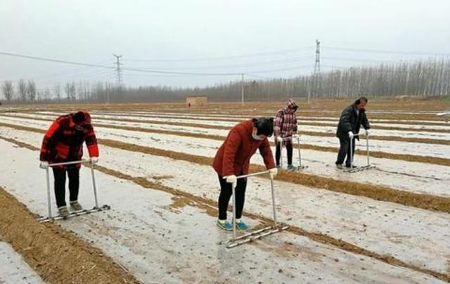 农村户口迁到城里，就属于城镇户口，还能享受农村土地权益吗？