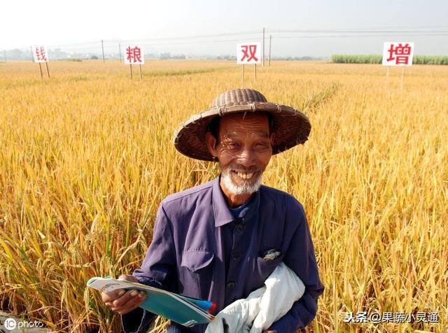 农村俗语“过了夏至节,夫妻各自歇”,你有听过吗夏至有多重要！