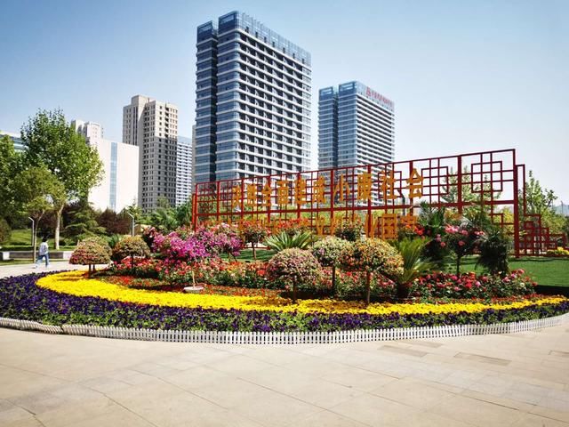  「展来」石家庄市第十六届月季花展来啦！14个市属公园广场18座花坛扮靓国际庄！