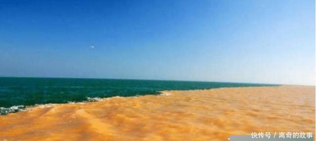 事不宜迟！黄河真会把“渤海”填平吗？看看海岸线有史以来的变化