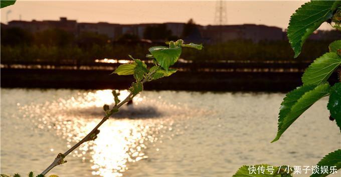 「夕阳西下」夕阳西下,晚霞满天,野渡舟横,佛山有一个天空之镜美景