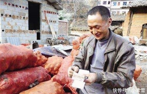 农村这一霸气的农作物，亩收入万元，却没人敢种，这是为何？