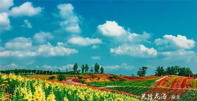 重庆彻底火了！又拿全国第一，网红城市当之无愧！