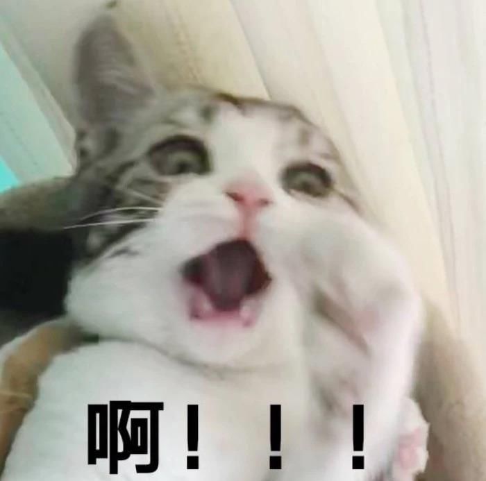 “你这个是肿眼泡，哭不出邓伦那样的双眼皮的。”