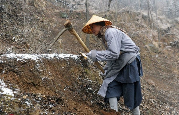 实拍：深山里的苦行僧，青菜萝卜度日，与世隔绝！