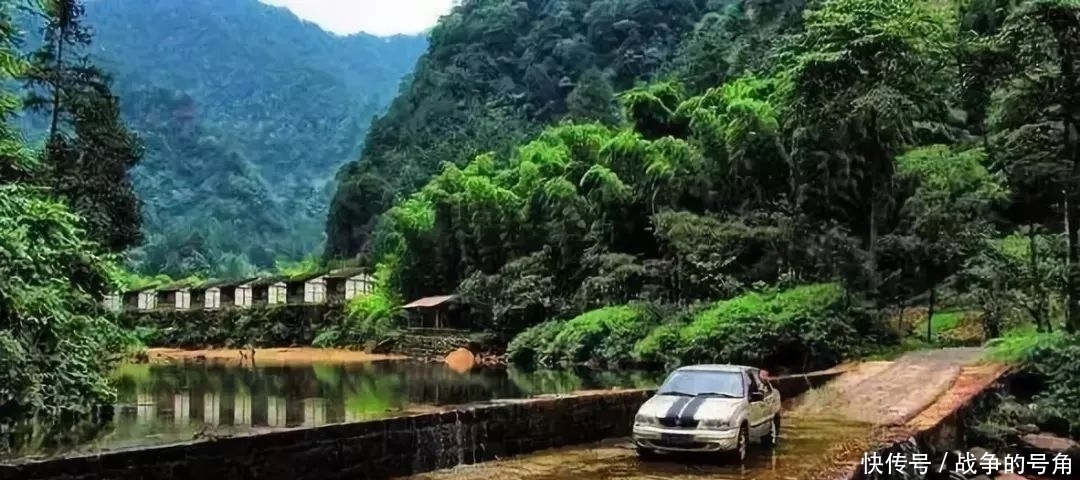 重庆周末出游好去处：去这条在森林中穿行的水上公路，还不收门票