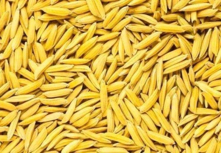  「道理」农村俗语：“晒谷不晒米，晒米亏不起”什么意思？有道理吗？